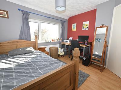Picture 15